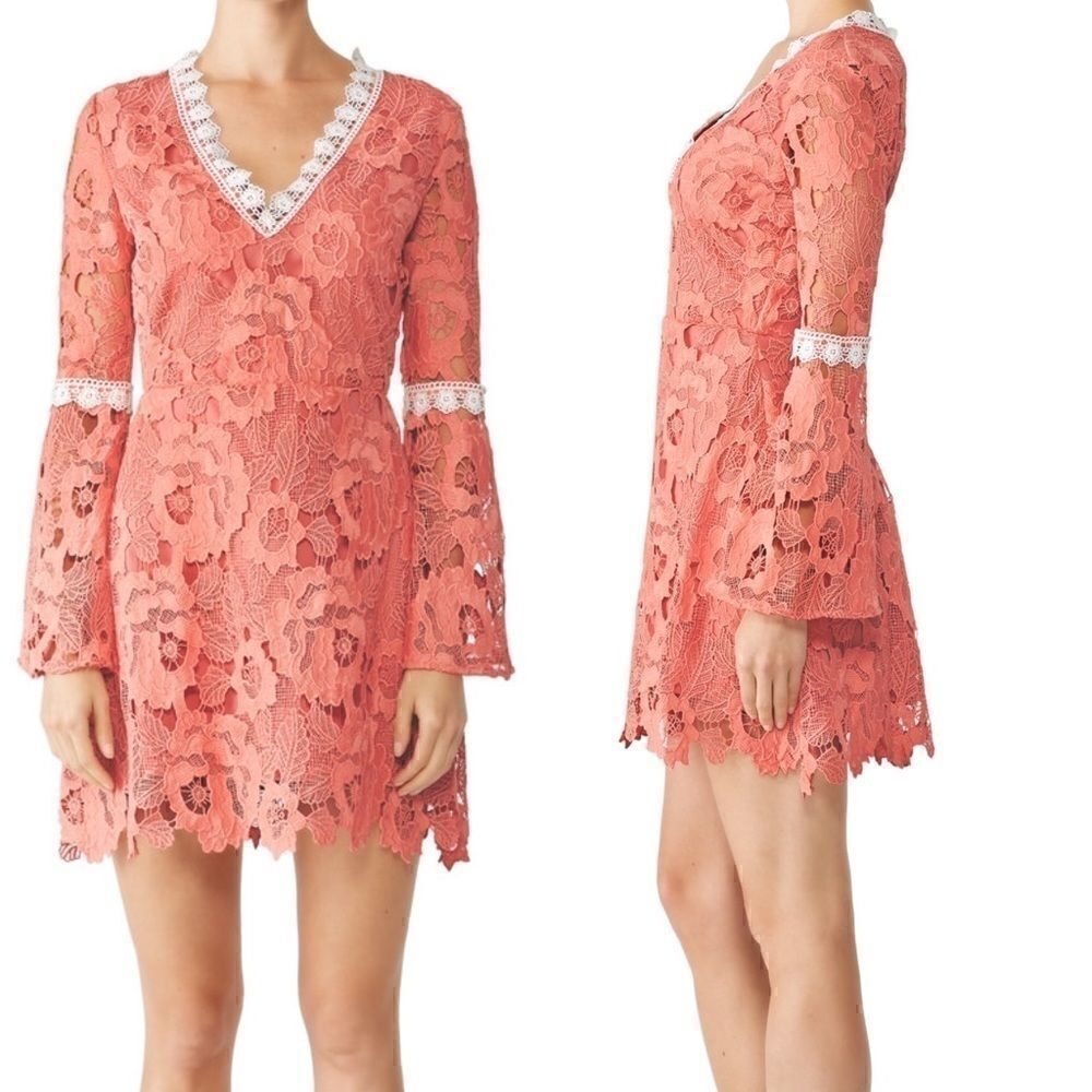 Alexia Admor Pink Contrast Lace Dress